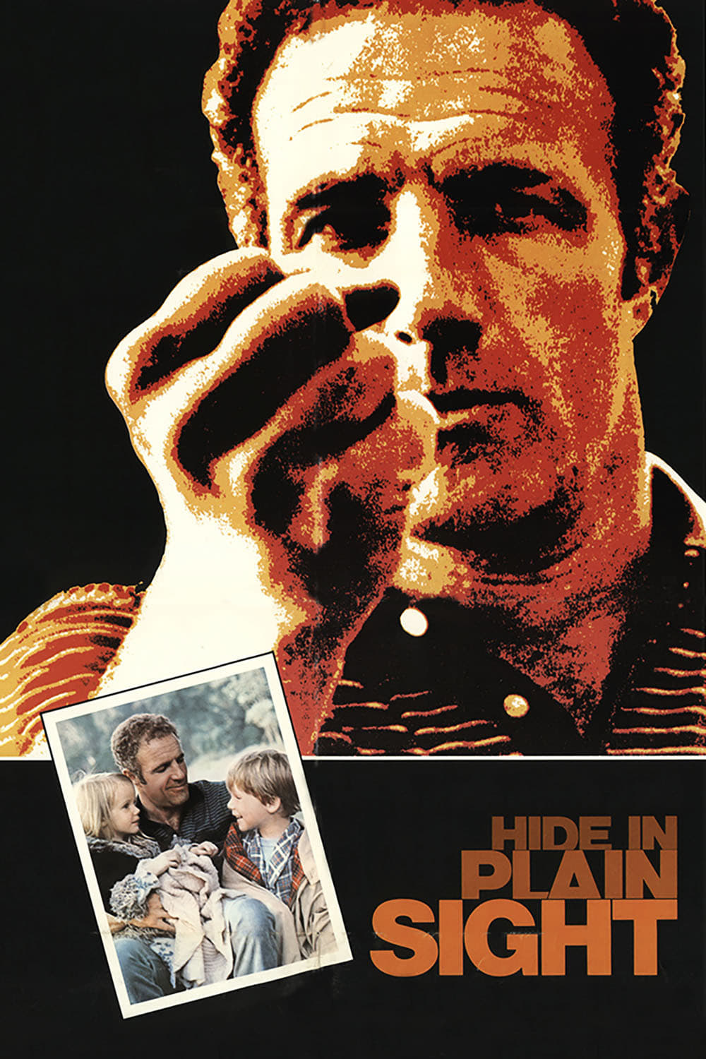 Постер Hide in Plain Sight